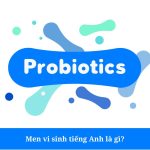 Men vi sinh tiếng anh là gì?